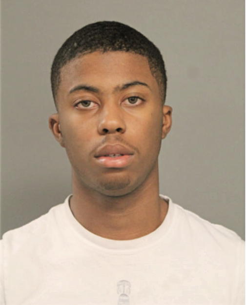 TERRENCE T NELSON, Cook County, Illinois