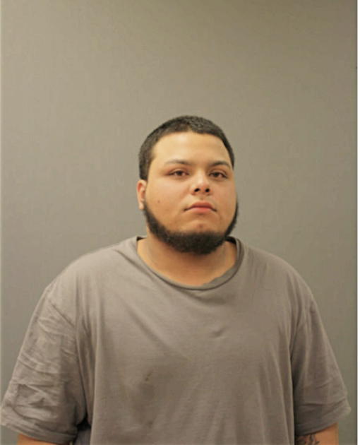 NELSON RAMIRO OCASIO, Cook County, Illinois