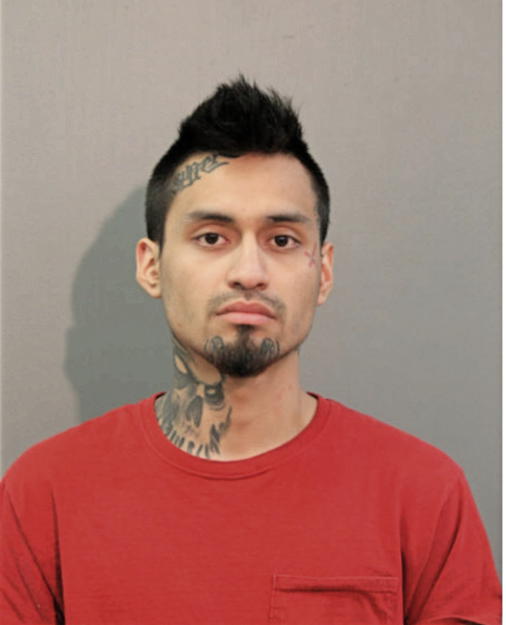 EDWIN G ORTIZ, Cook County, Illinois