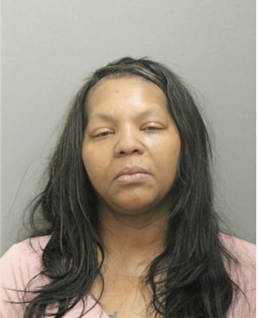 KAREN P LYONS, Cook County, Illinois