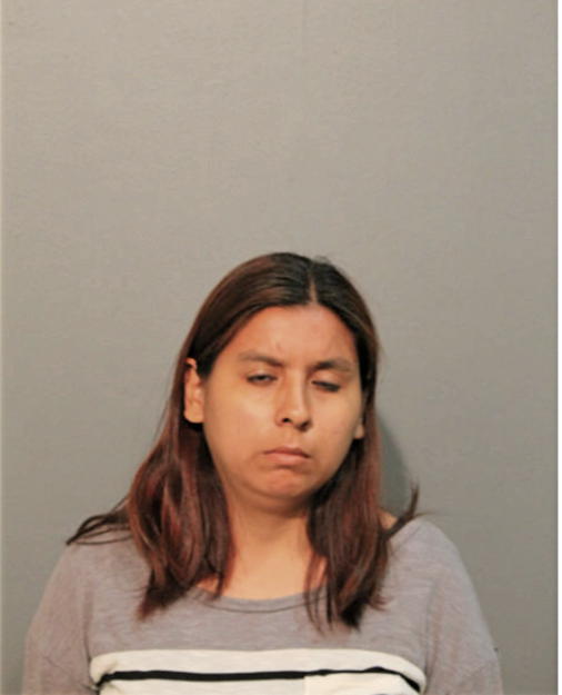 LYDIA V PACHECO, Cook County, Illinois