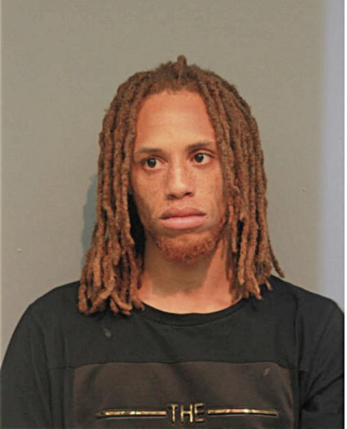 MICHAEL M PURNELL, Cook County, Illinois