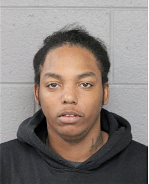TERRI D STYLES, Cook County, Illinois