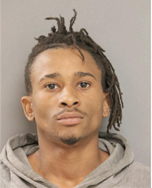 ALLEN L WILLIAMS, Cook County, Illinois