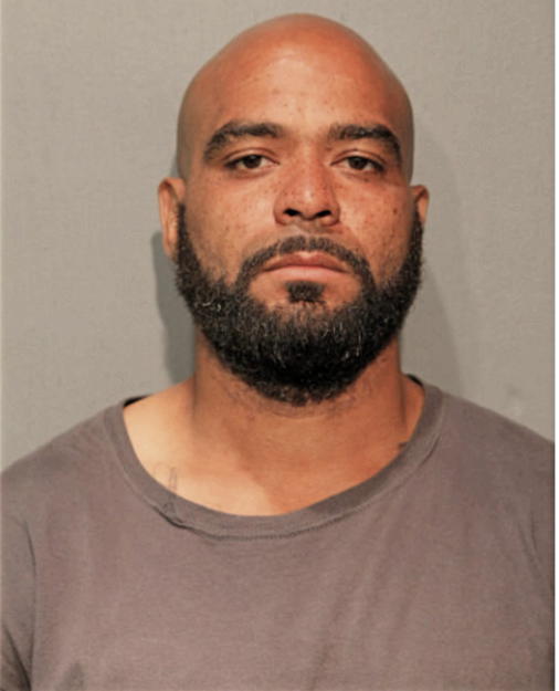 ROBERT N WISE, Cook County, Illinois