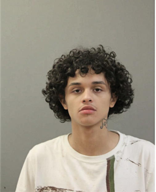 JULIAN ALMANZA, Cook County, Illinois