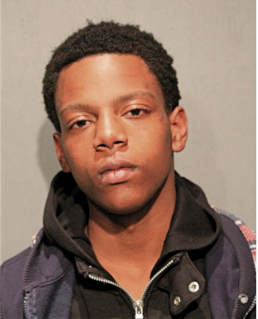 BRANDAN T ANDERSON, Cook County, Illinois