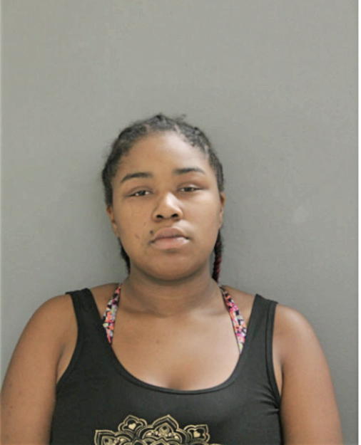 ROBYN T ANDERSON, Cook County, Illinois