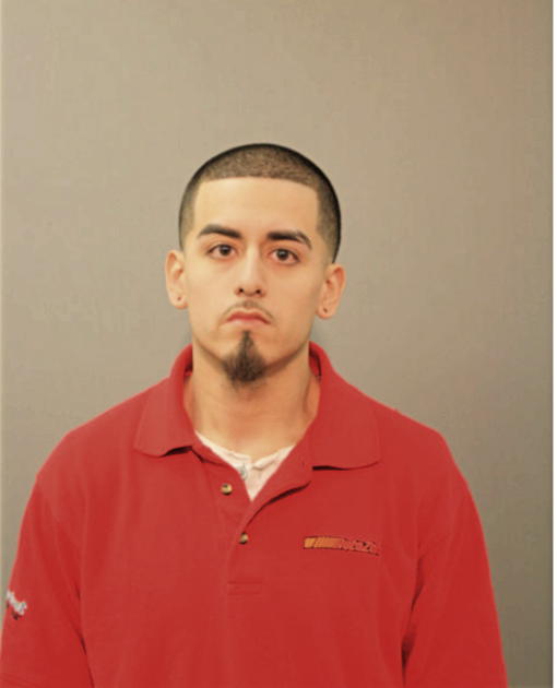 JOSUE O ARENAS, Cook County, Illinois