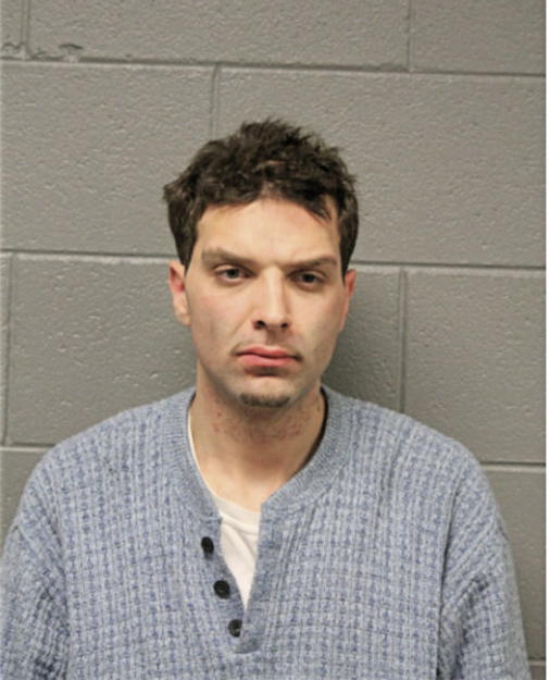 DAVID M FERGUSON, Cook County, Illinois