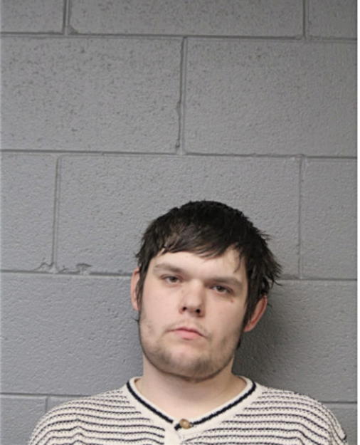 MAXIM GANZENKO, Cook County, Illinois
