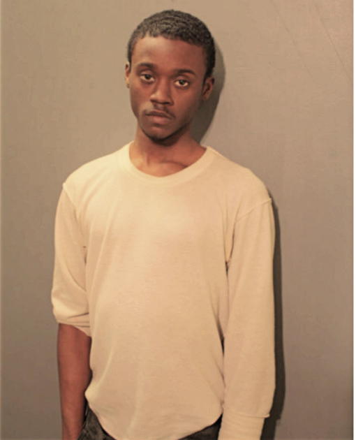 DEONTA GOINS, Cook County, Illinois