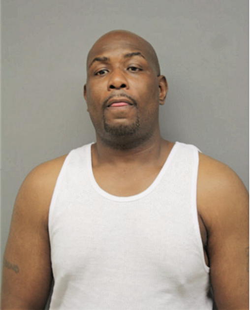 STEVEN L HAMILTON, Cook County, Illinois