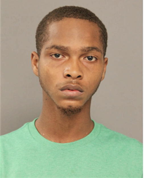 VERNON L JOHNSON, Cook County, Illinois