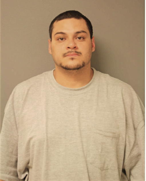 MICHAEL R LOVERING, Cook County, Illinois