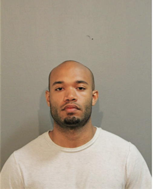 RYAN K LYLES, Cook County, Illinois