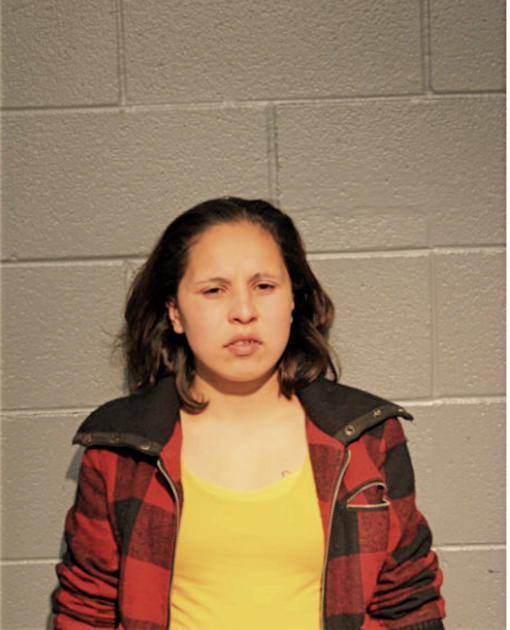 BRENDA A MARES, Cook County, Illinois