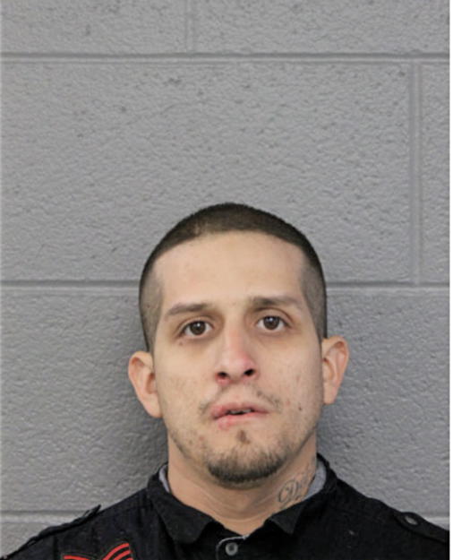 MARCO A MAYORGA, Cook County, Illinois