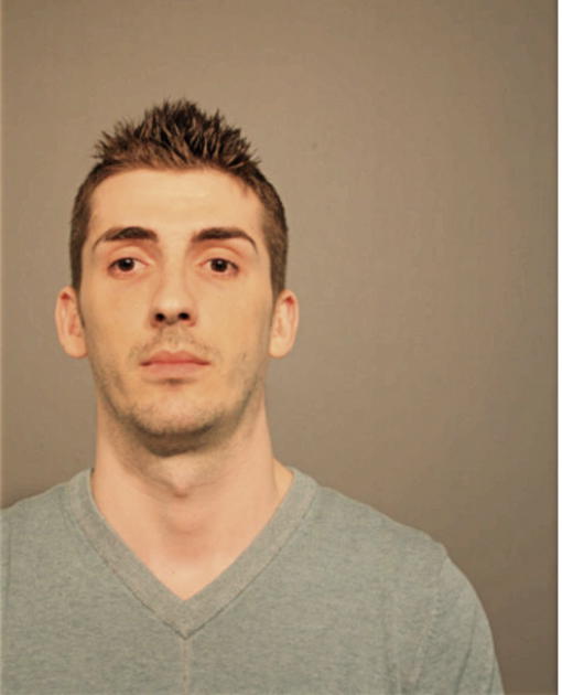 DRAGOS MITROFAN, Cook County, Illinois