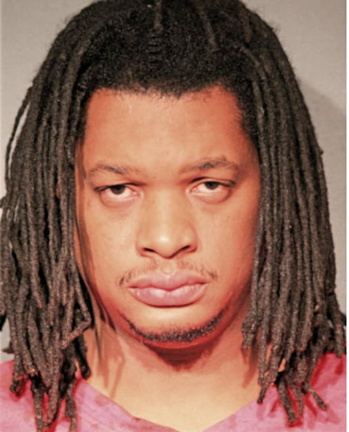 ENICH T PALMER, Cook County, Illinois