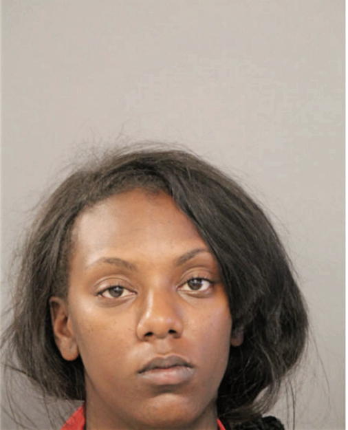 MICHELLE T RIVERS, Cook County, Illinois