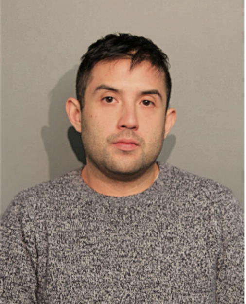 ADRIAN A RODRIGUEZ, Cook County, Illinois