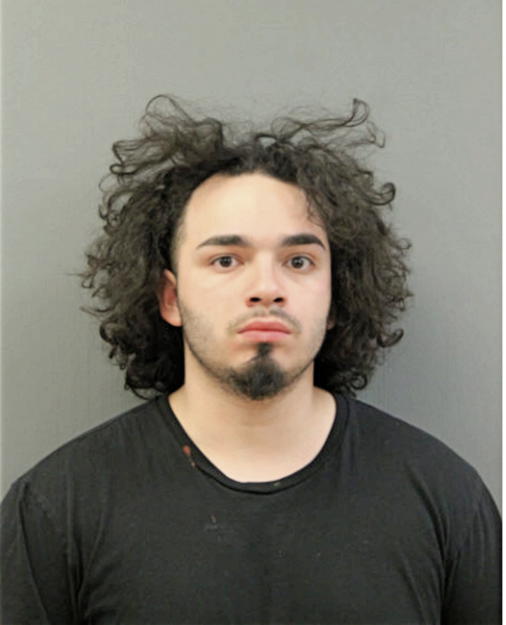 MICHAEL K RODRIGUEZ, Cook County, Illinois
