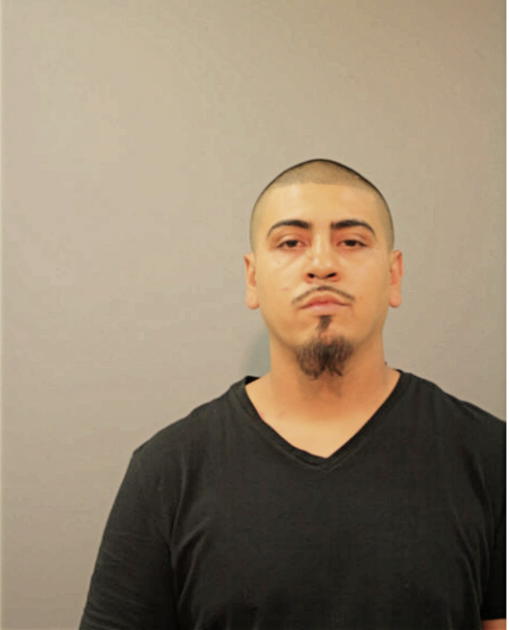 RENE SALAZAR, Cook County, Illinois