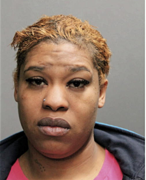 ASHLEY E SOMERVILLE, Cook County, Illinois