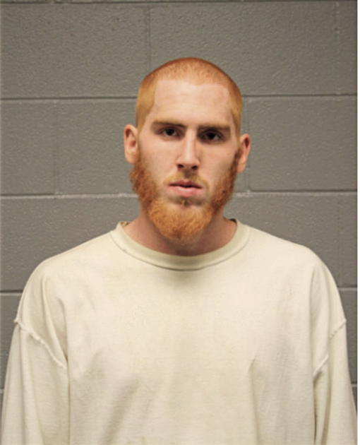 THOMAS S STAFFORD, Cook County, Illinois