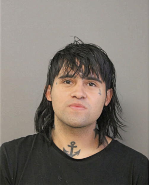 JUAN TORRES, Cook County, Illinois