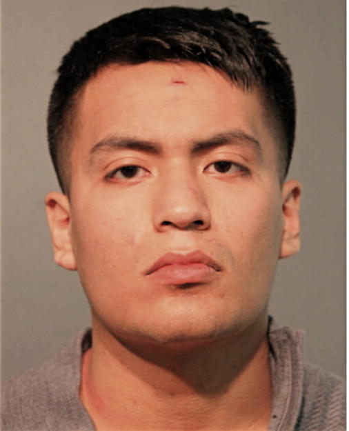 LUIS J UNZUETA, Cook County, Illinois