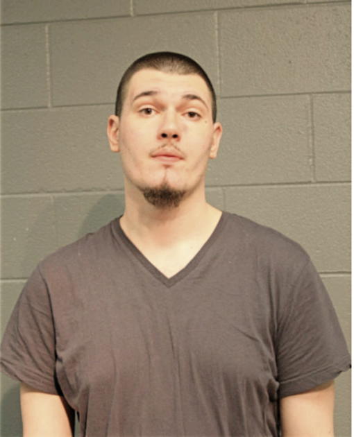 ADNAN VOJIC, Cook County, Illinois