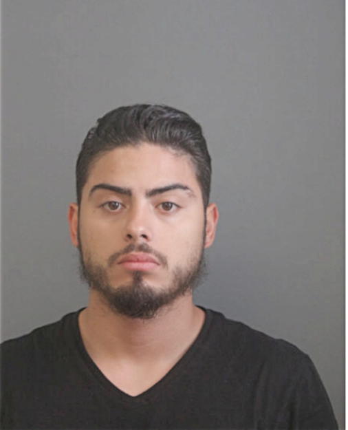 JULIO J ACANDA, Cook County, Illinois
