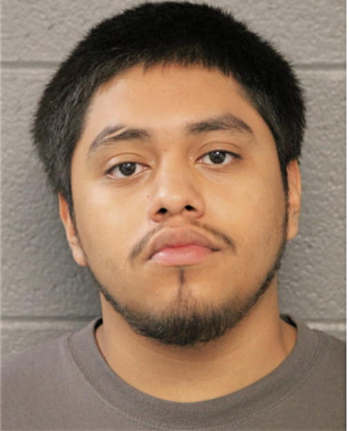 LUIS ALVARADO, Cook County, Illinois