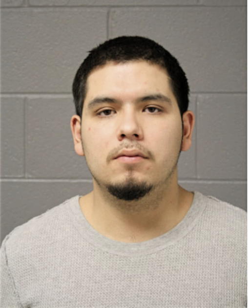 DIEGO A ALVAREZ, Cook County, Illinois