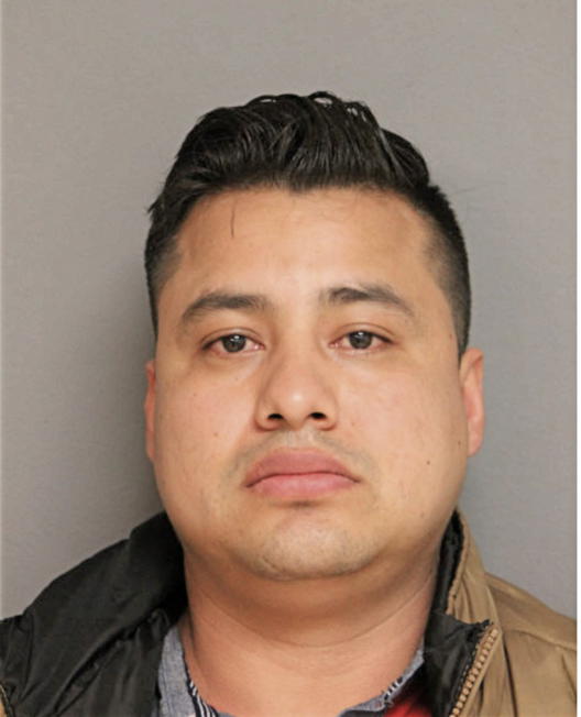 DOMINGO BENNETS, Cook County, Illinois
