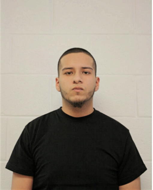 FAUSTO BUSTAMANTE, Cook County, Illinois