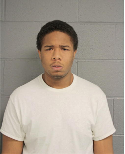 DANIEL L DIGGS, Cook County, Illinois