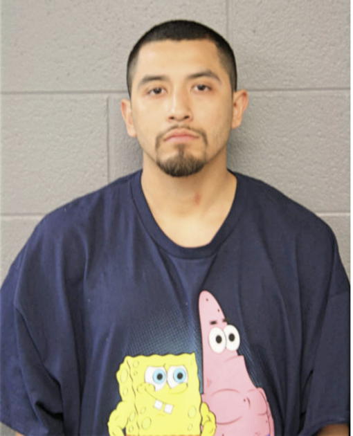 THOMAS E HERNANDEZ, Cook County, Illinois
