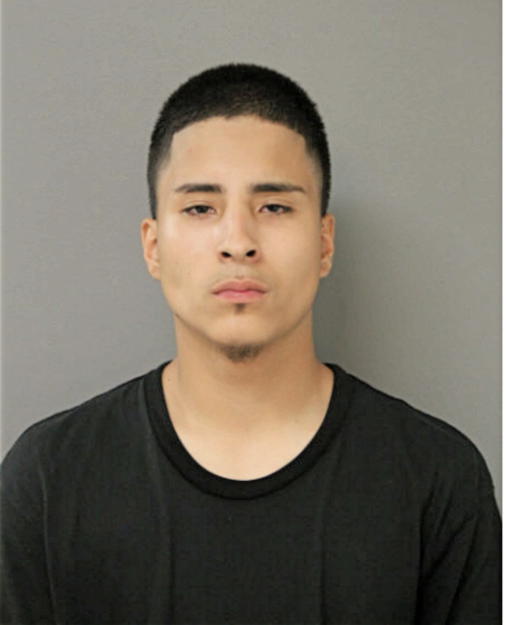 ALEJANDRO J ELVIRA, Cook County, Illinois
