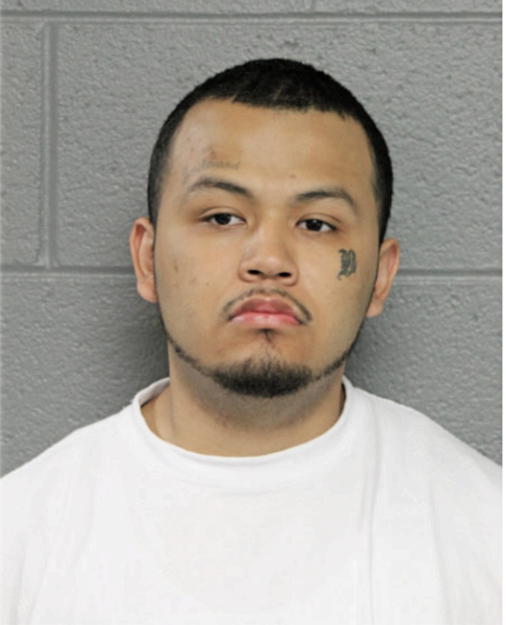 OMAR FLORES, Cook County, Illinois