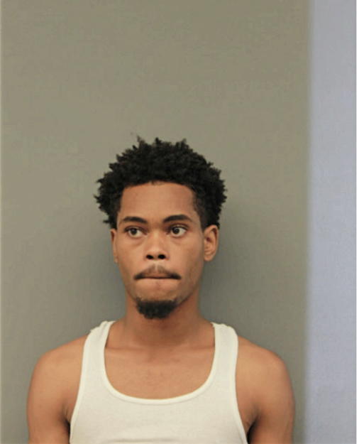 DANIEL A GIBSON, Cook County, Illinois
