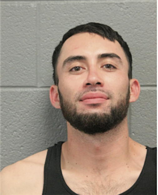 TONY FLORES GONZALEZ, Cook County, Illinois