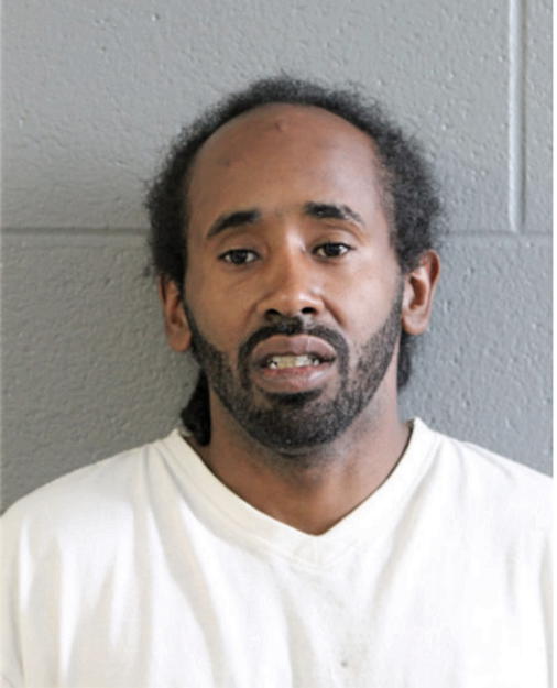 BRUCE J JOHNSON, Cook County, Illinois