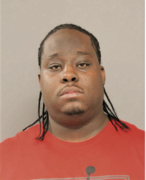 MARK A JOHNSON, Cook County, Illinois