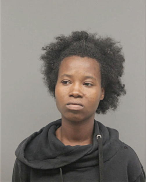 BRITTANY L LEONARD, Cook County, Illinois