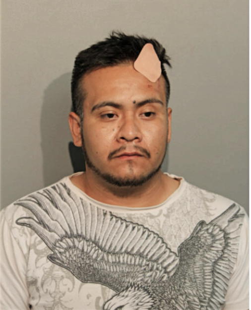 GERARDO LEYVA-BERNABE, Cook County, Illinois
