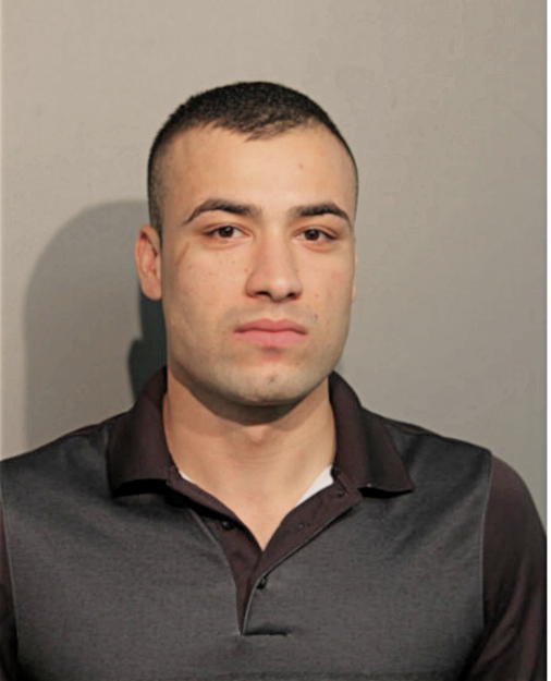 MOHAMMED H MOHAMMED, Cook County, Illinois