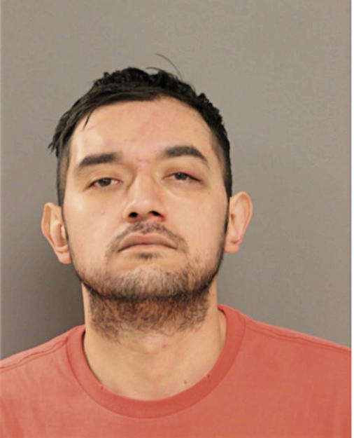 LUIS A NEVAREZ, Cook County, Illinois